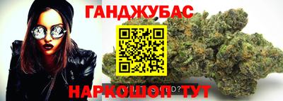 шишки Аша