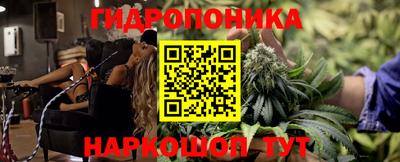 шишки Аша