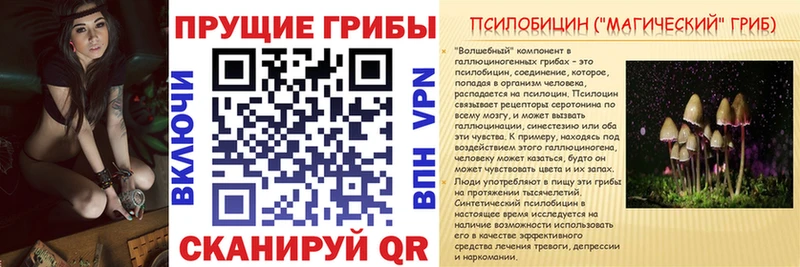 Псилоцибиновые грибы Psilocybine cubensis  где можно купить наркотик  Белово 